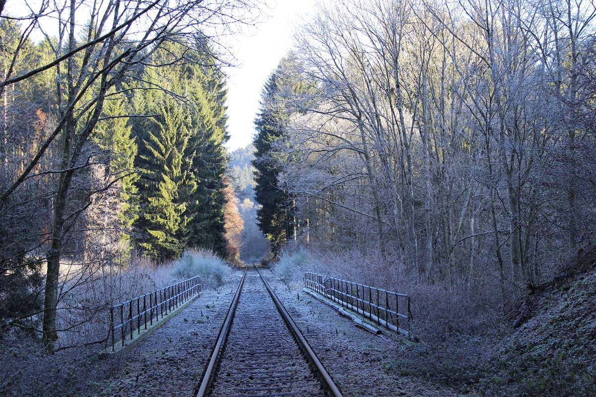Wintermärchen auf der Brexbachtalbahn