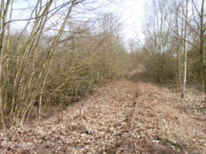 Einfahrtssignal Engers - Richtung Sayn