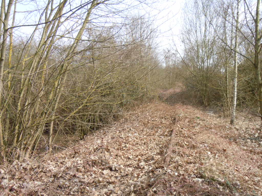 Einfahrtssignal Engers - Richtung Sayn